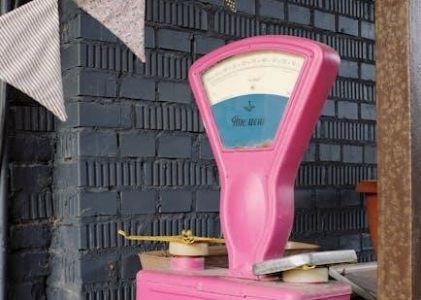 weight watchers scale instructions