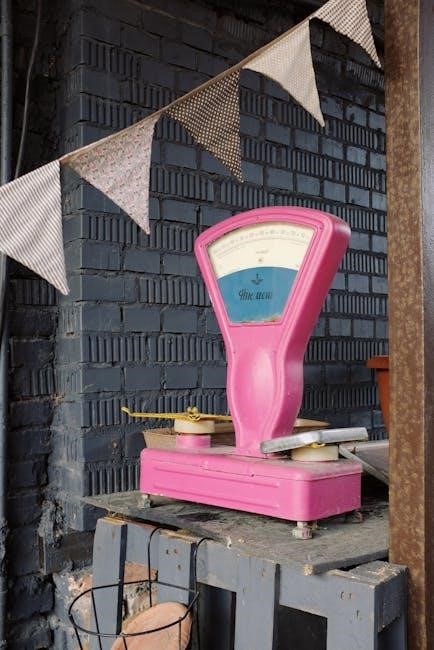 weight watchers scale instructions