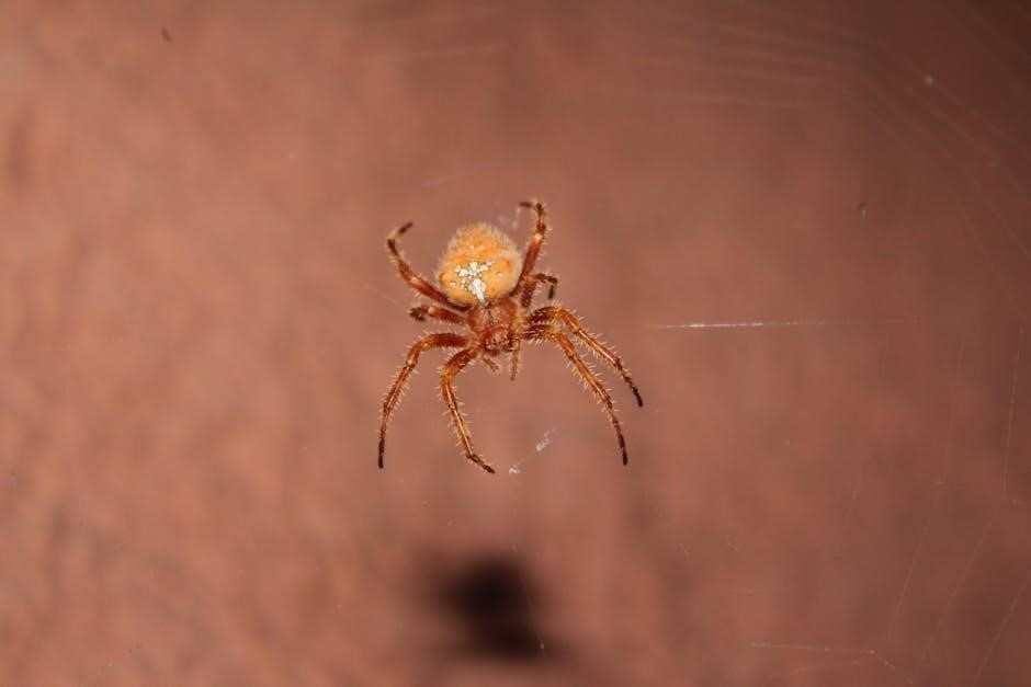 legend of the christmas spider pdf