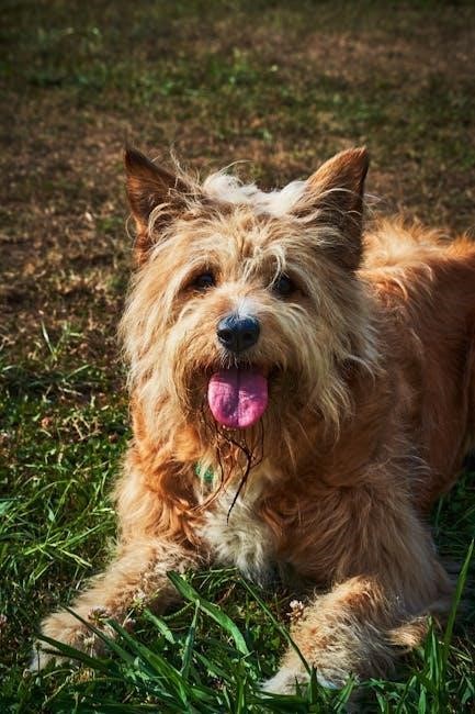 integrated chinese level 2 part 1 workbook pdf