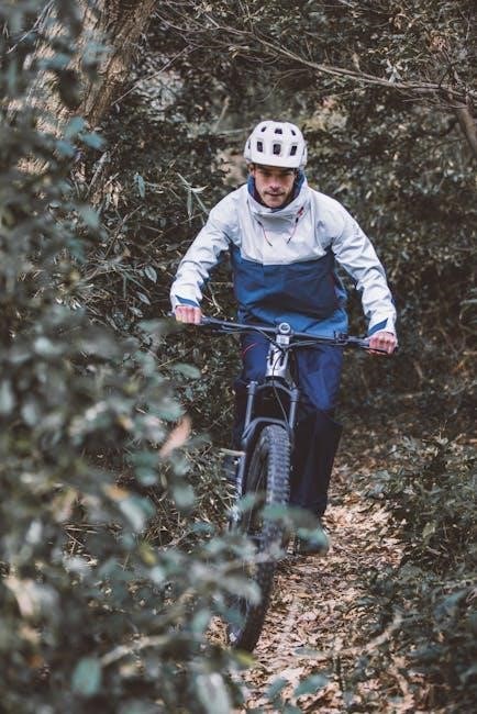 the impact cycle knight pdf